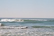 Bodega Wave 2